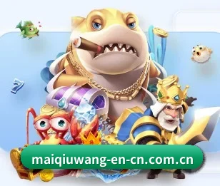 买球网的故事(maiqiuwang)